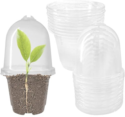 Hevysuo 12 Piezas Macetas de Plástico Transparente,9cm Macetas con Tapa Transparencia para Plantas Suculentas,Semillas,Plantas