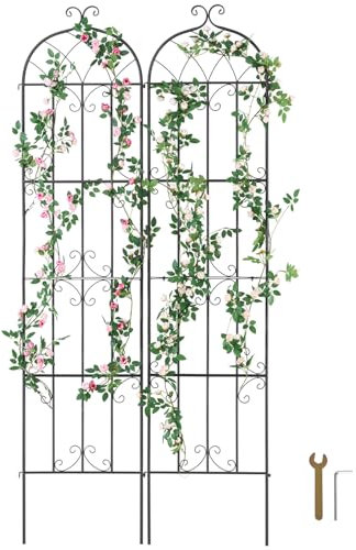 VEVOR Traliccio da Giardino Rampicanti per Piante Fiori in Metallo Antiruggine, Supporto per Traliccio per Rose Rampicanti Esterno, Traliccio Decorativo per Clematide Alta Cortili 51 x 220 cm 2 Pezzi