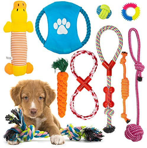 Fur & Bone Dog Chew Toys (10-Pack) - Puppy Toys for Boredom - Indestructible Rope & Squeaky Teething Toys for Small & Medium Dogs