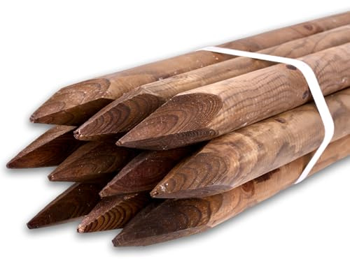10 Stück Set imprägnierte Braune Rundholzpfähle 6 cm Durchmesser – Verschiedene Längen und Stärken – Ideal als Zaunpfähle, Pflanzpfähle oder Baumpfähle (125 cm Länge)