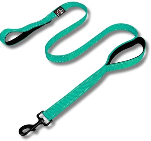 Lalazoo RICO Hundeleine Double Handle 180 cm – Trainingsleine mit 2 Griffen & Kurzführer Reflektierend Gepolstert Robust & Wasserdicht – Für Kleine Mittlere und Große Hunde – Türkis, L