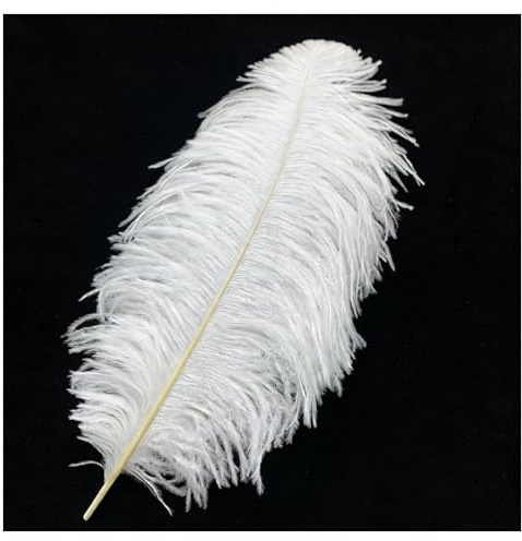 TSWNG Grandes plumes d'autruche 70-75 cm - Plumes décoratives pour bricolage - Blanches - Plumes naturelles - Pour Noël, mariage, fête, carnaval, maison, décoration de table DIY