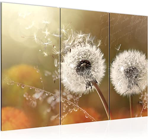 Runa Art Wandbilder Pusteblume Bild XXL Wohnzimmer Schlafzimmer Beige Braun Gräser 120 x 80 cm 3 Teilig 023631a