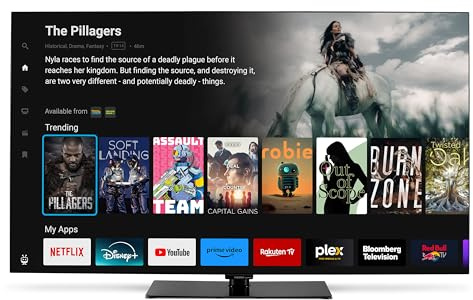 MEDION 163,9 cm (65 Zoll) OLED Fernseher (TiVo, Smart-TV, Dolby Vision HDR, Subwoofer, MEMC, Micro Dimming, TiVo Medienportal, Prime Video, Disney+, Dolby Atmos, PVR, Bluetooth, MD 865901)