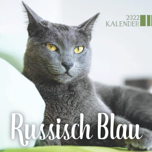 Russisch Blau Kalender 2022: 12-Monats-Kalender von Jan 2022 bis Dez 2022. Platz für Notizen. Es ist ein perfektes Geschenk für einen geliebten Menschen