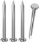 Dayalo Lot de 50 clous en acier de 16 mm - Clous pour toiture - En acier inoxydable A2 V2A - Pour murs en bois et béton