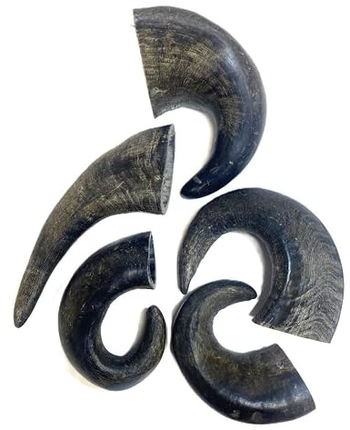 Maltbys' Stores 10x Medium Buffalo Horns | 100% Natural Dog Treat Horn Chews