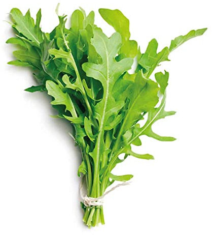 Semillas de Rúcula para Hacer Brotes de Ensalada