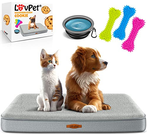 Lovpet® Letto ortopedico per cani XL 112x81x7.6cm, Cestino Cookie, con Ciotola + 3X Ossi da Masticare, Divano per Cani di Piccola, Media e Grande Taglia, Sfoderabile e Lavabile, Grigio/Grigio Chiaro