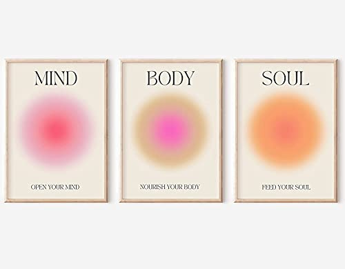 Positive Aura Posters for Room Aesthetic 3 Piece Colorful Grainy Gradient Canvas Wall Art Spiritual Soul Body Mind Quote Print Painting Danish Pastel Home Decor for Bedroom 12x16in Unframed