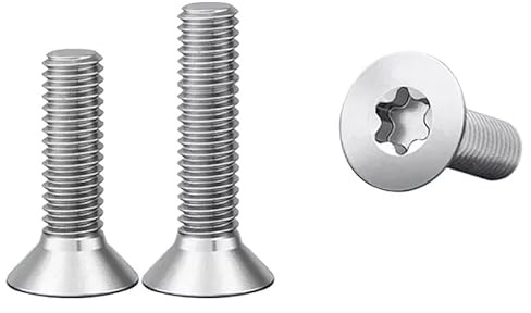 M1,6 m2 m3 m4 titanio gr2 tornillos de cabeza plana avellanados con casquillo torx iso14581 (10,M3 x 16 mm)