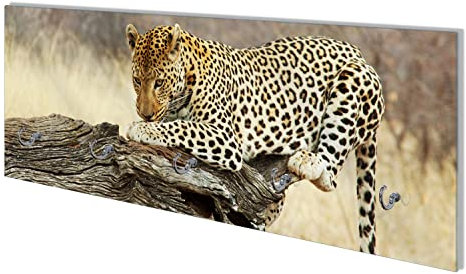 Wallario Wandgarderobe aus Glas in Größe 80 x 30 cm mit Memoboard-Funktion, Motiv: Leopard auf Baumstamm in Afrika | 5 Kleiderhaken zum Aufhängen von Jacken