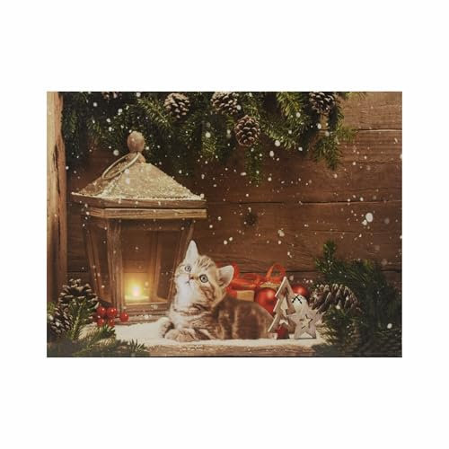 Nexos Trading LED Wandbild Beleuchtung 30x40 cm Kätzchen in Winterstube Faser LED Fotodruck Kunstdruck Leuchtbild Weihnachten Batterie Timer 40 Glasfiber Effekt-LED Weihnachtsabend