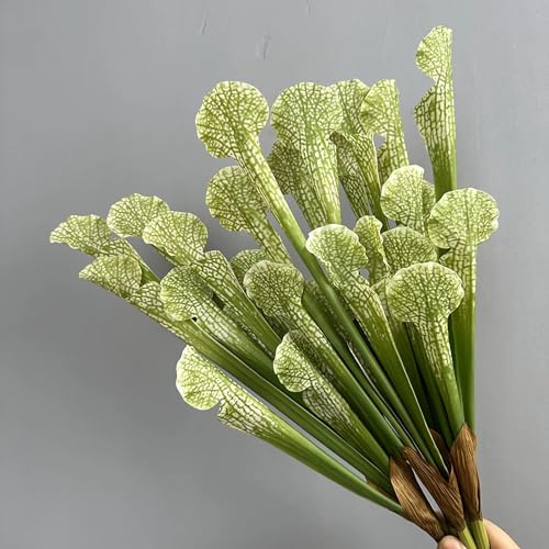 AtHomeYuyue 5pcs 17.5 Artificial Carnivorous Pitcher Green Plant Moisturizing Fake Sarracenia Greenery for Vase Bouquet and Home Wedding Festival Decoration.(Light green)