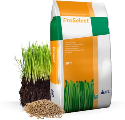 Gazon a semer ICL Atlantique 10 kg | Graines de Gazon Agrément Résistant Sécheresse & Rouille | Semence avec Système Racinaire Profond