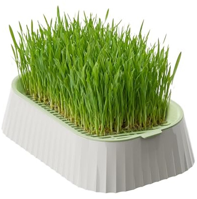 Pflanzgefäß Für Katzengras – ABS 19 X 12,5 X 5 Cm | Hydroponischer Katzengrastopf | Anti-Kipp-Cat1 Grass1 Cup Pet Growing Tray Iorganic Setzling Box, Pot Snack Kit Pet Care Supply Für Den Balkon Zu Ha