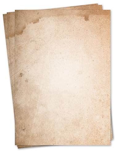 Briefpapier Set Natur Motiv I 50 Blatt 90 g/m² DIN A4 I stilvolles Schreibpapier vielseitig verwendbar braun beige I Geburtstag Urkunde Speisekarte I dv212