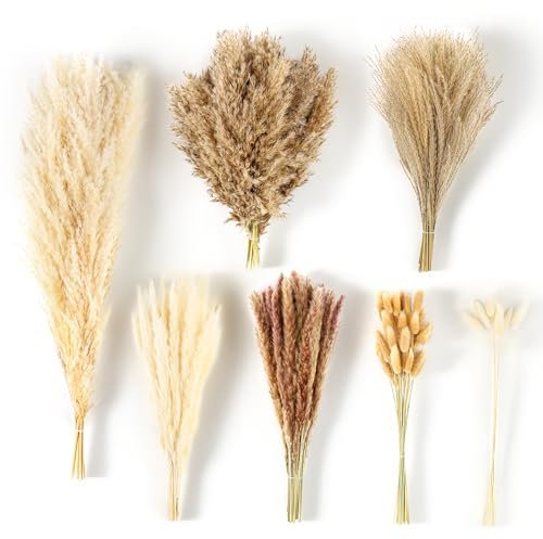 RumonZS 172PCS Dried Natural Pampas Grass Plant with Bunny Tails Fluffy Pampas Flowers Bouquet Table Decor for living room bedroom Wedding Birthday Party Decoration 50CM