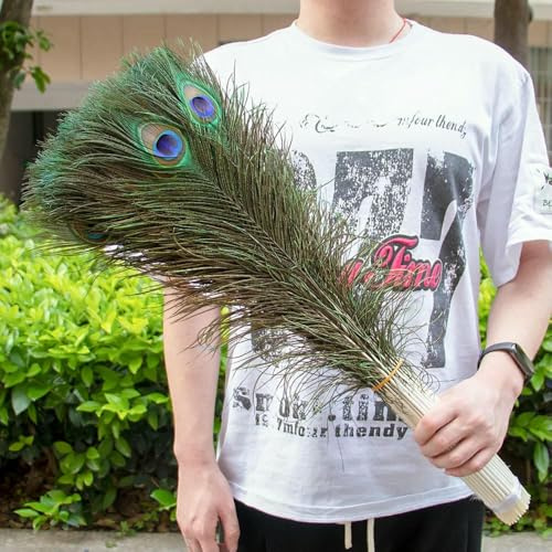 Lot de 10 plumes de paon naturelles pour décoration de vases, artisanat, grand vase de décoration pour la maison, accessoires artisanaux de vacances, plumes (60-70 cm), 20 pièces
