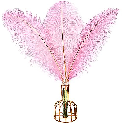 THARAHT 12PCS Ostrich Feathers Natural Bulk 12-14Inch(30-35cm) for Wedding Party Centerpieces Easter Gatsby Flower Arrangement and Home Decorate Ostrich Feathers,Pink