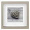 Hama Cadre Photo pour Portrait ´Scala´, Taupe, 23 x 23 cm