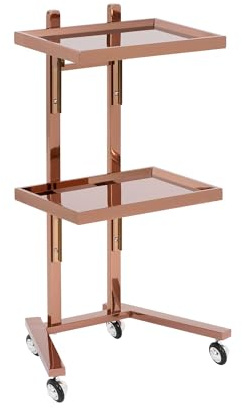 Physa Kosmetikwagen roségolden mit 2 klappbaren Ablagen 4 schwenkbaren Rädern und Föhnhalterung 10 kg Traglast Arbeitswagen Kosmetik-Beistellwagen aus Edelstahl Salon-Trolley