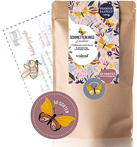 Schmetterlingswiese I 200 g I Blumenmischung für 200 m² I Blumenwiese Samen mehrährig und einjährig I Wildblumensamen für Schmetterlinge und Bienen I Wiesenblumen Samen