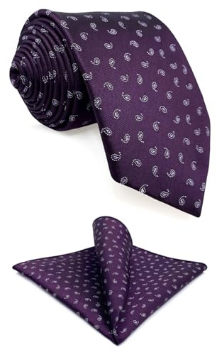 S&W SHLAX&WING Paisley Purple Plum Necktie Pocket Square Set for Men Tie Handkerchiefs Classic 57.5