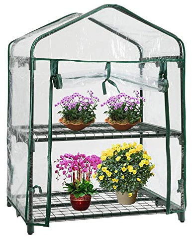 Taylor & Brown 2 Tier Greenhouse Compact Green House with 2 Shelves and Weatherproof PVC Plastic Cover Plant House/Grow House for Garden and Outdoor Roll up Zip Panel Door Easy No Tool Assembly