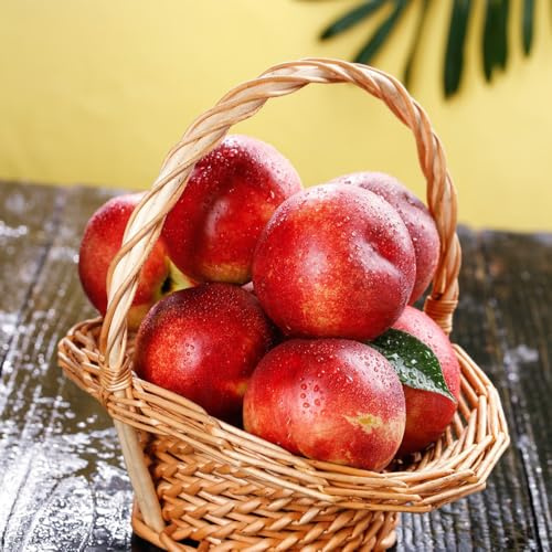 Pfirsichbaumsäulesamen - garten winterhart alte sorten hochbeet seltene bio balkon kaufen 12pcs