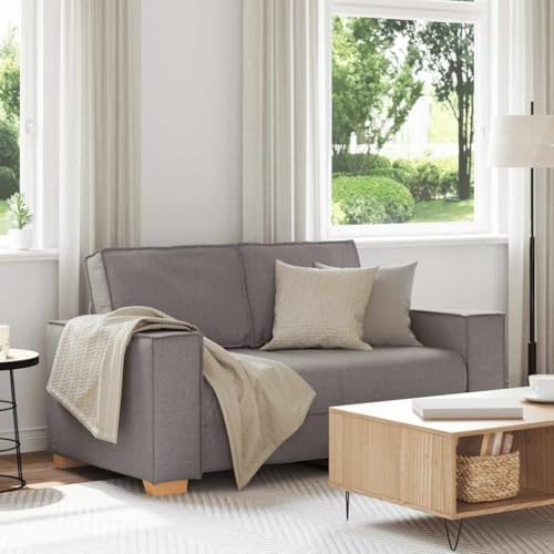 Runheo 2-Sitzer Sofa Taupe 120 cm Stoff, Weich Gepolstert, Robuster Holz-Metallrahmen, Breite Armlehnen, Bequemes Loungesofa für Wohnzimmer, Büros und Gästezimmer