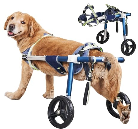 YURUX Adjustable Dog Wheelchair for Back Legs,Dog Cart for Medium/Large Dogs 13-30in Long, 35-88 lbs Disabled or Injured,Aerospace Aluminum, Anti-Slip Wheels (XL)