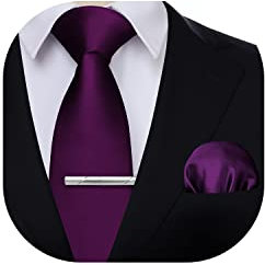 HISDERN Krawatte für Herren Violett - Krawatte mit Einstecktuch Krawattenklammer Hochzeit Einfarbig Seide Krawatten und Taschentuch Set für Männer