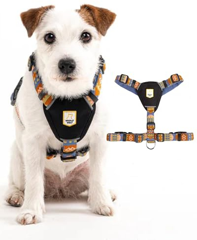 Woolly Wolf Nightless Night Dog Harness XXS - Hundegeschirr für kleine Hunde aus recyceltem Polyester, Perfekte Passform und Reflektoren für erhöhte Sichtbarkeit