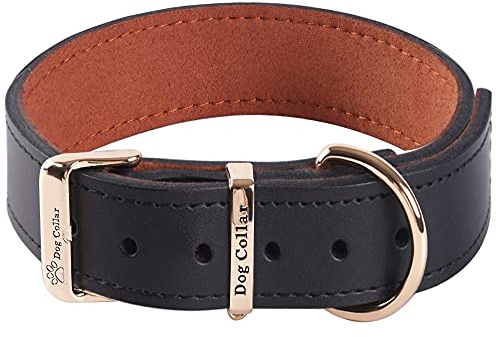 Extra Breites, Dickes, Weiches Hundehalsband aus Echtem Leder zum Gehen und Trainieren Hochleistungs-Hundehalsband für Kleine, Mittel Grosse und Große Rassehunde (Schwarz, M)