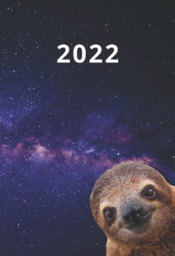 Taschenkalender 2022 A6: 1 Woche auf 2 Seiten, Mini Tagesplaner und Wochenkalender mit praktischer Jahresübersicht im Faultier Design (Mini Wochenplaner)