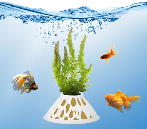 2 Pack Aquarium Plant Pots – White Plastic Aquatic Planters with Side Vent Holes, Shatterproof & BPA-Free Fish Tank Decor for Live Plants, Shrimp, Java Fern, Anubias – Freshwater & Saltwater Safe