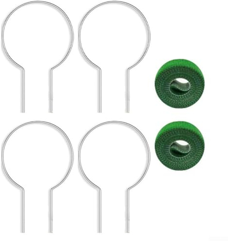 Lot de 2 piquets métalliques pour plantes grimpantes en pot, y compris lierre et pothos (support rond)