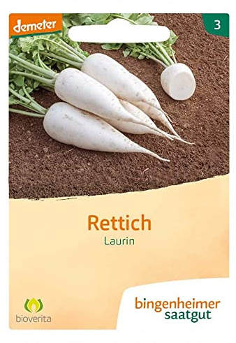 Bingenheimer Rettich, Laurin (1)