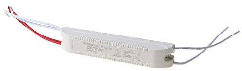 MISHITI Ballast Electronique pour Lampe Fluo Ampoule 18-22W AC220V pour Phare de T4