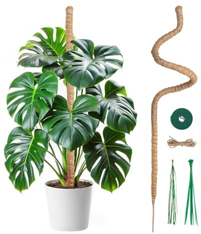 Mcbazel Tutore Piante Rampicanti su Picchetto di Pante 120 cm, Supporto per Piante di Cocco,Larghezza 7 mm, Pieghevole Palo di Crescita di Piante Rampicanti per Piante Monstera/Giardino