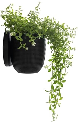Tims Plum Kleiner Wand-Pflanztopf im modernen Design - Schwarzer Wandtopf abnehmbar für Sukkulenten & Kräuter, 3D-Druck aus PLA, inklusive Halterung & Auffangschale, Schwarz