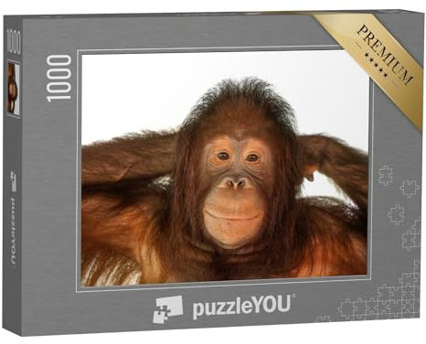 puzzleYOU: Puzzle 1000 Teile „Niedlicher Orang-Utan“ – aus der Puzzle-Kollektion Affen, Tiere in Dschungel & Regenwald