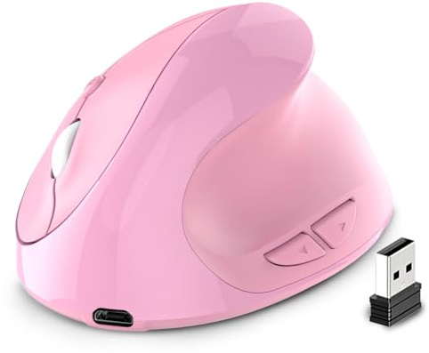 Jeenuuder Souris Verticale Ergonomique Rechargeable sans USB 2,4 G pour Ordinateur Portable, Souris de Rose