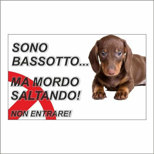 GLOBAL CARTELLO SEGNALETICO - ATTENTI AL CANE BASSOTTO, MORDO SALTANDO - Adesivo Extra Resistente, Pannello in Forex, Pannello In Alluminio (20X31 CM, Alluminio)