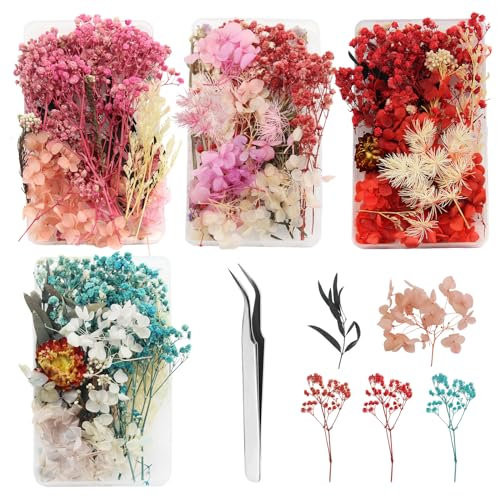 GZGXKJ 4 Scatole Mini Fiori Secchi Naturali Decorativi Con Pinzette per Resina Epossidica, Artigianato, Creazione di Candele, Carta in Resina Fai-da-te