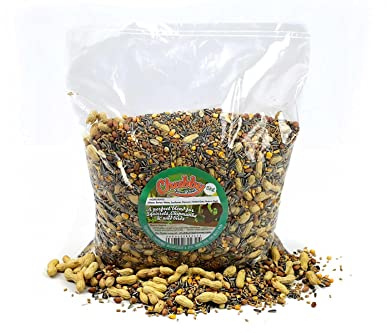 Chubby Mealworms Natural Seed & Nut Mix Forest Feast Squirrel Food (5kg), Natural Seed & Nut Mix Food for Chipmunks & Squirrels, Feed Includes Sunflower, Peanuts, Naked Oats, Nuts in Shells
