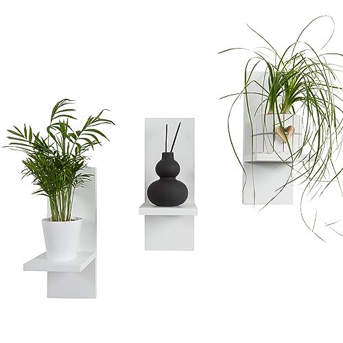 Mex-System Blumenregal 3er Set Stilvolles Wandregal Holz für Ihre Pflanzen und Wanddeko (Weiss)