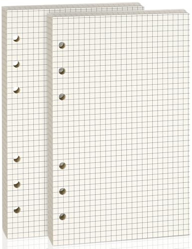 2 Packungen Nachfüllpapier für A6 6-Ringbuch-Notizbuch – Beidseitig beschreibbar, kein Durchschlagen bei Füllertinte. 100 GSM, Kariert, Jeweils 80 Blatt, passend für A6 6-Ring