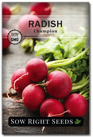 Sow Right Seeds - Champion Radish Seed for Planting - Non-GMO Heirloom Packet with Instructions to Plant a Home Vegetable Garden - Grow This Classic Red Variety - Spicy Cherry Type, Fast Growing (1)